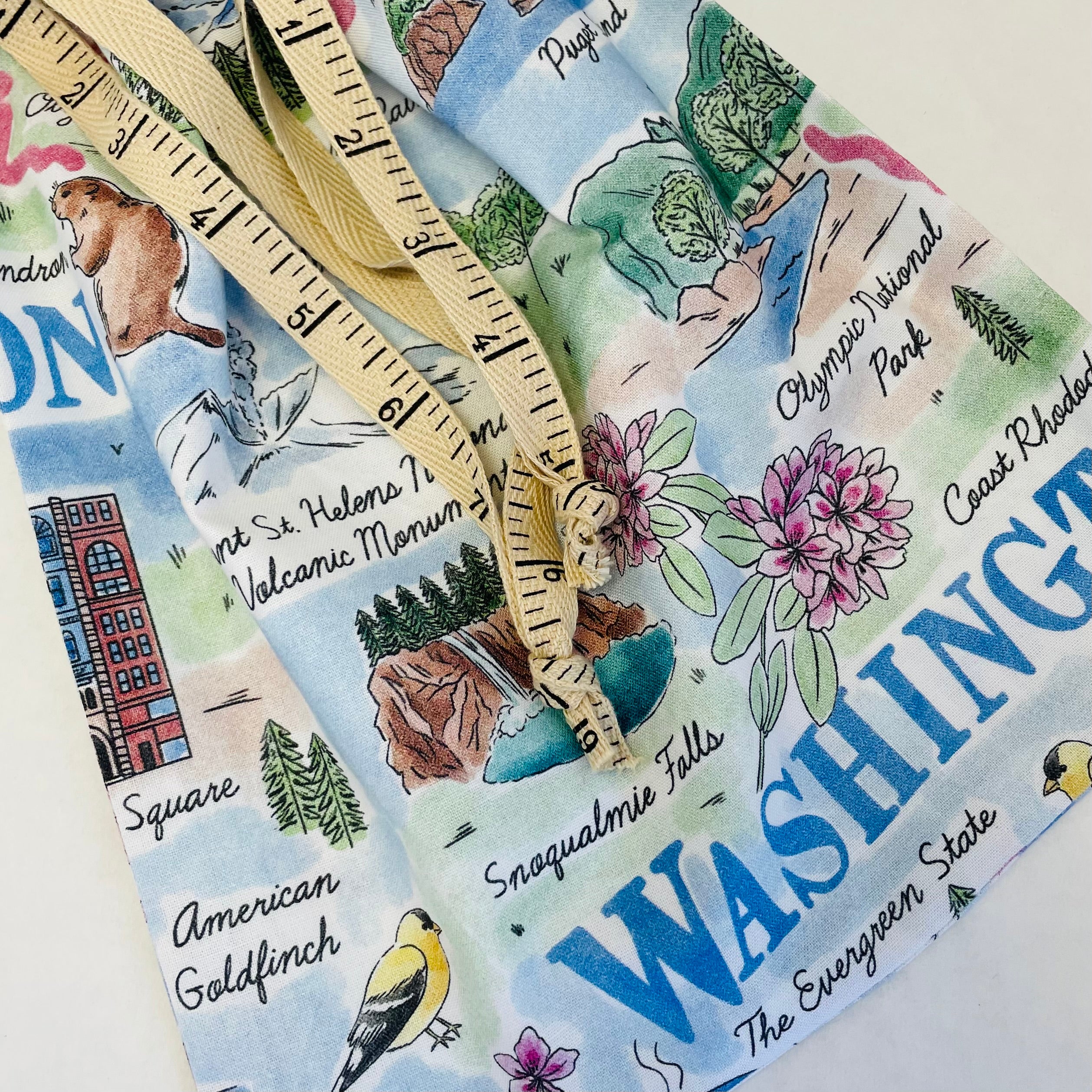 Ruler Ribbon Project Bag - Apple Yarns