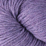 51172 Iris