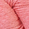 51193 Guava x