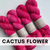 Cactus Flower