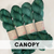 Canopy