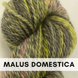 Feederbrook Farm Entropy DK and BFL Solids