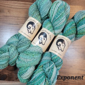 Feederbrook Farm Entropy DK and BFL Solids