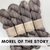 Morel of the Story